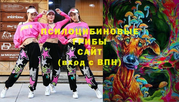 стафф Михайловск