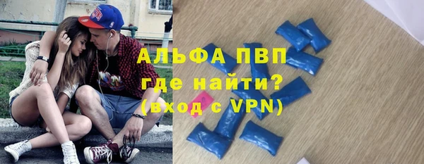 стафф Михайловск