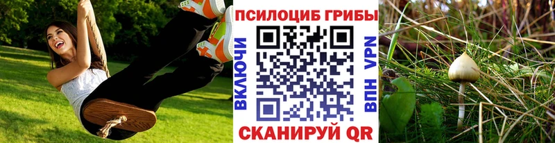 гидра сайт  Суздаль  Псилоцибиновые грибы GOLDEN TEACHER 